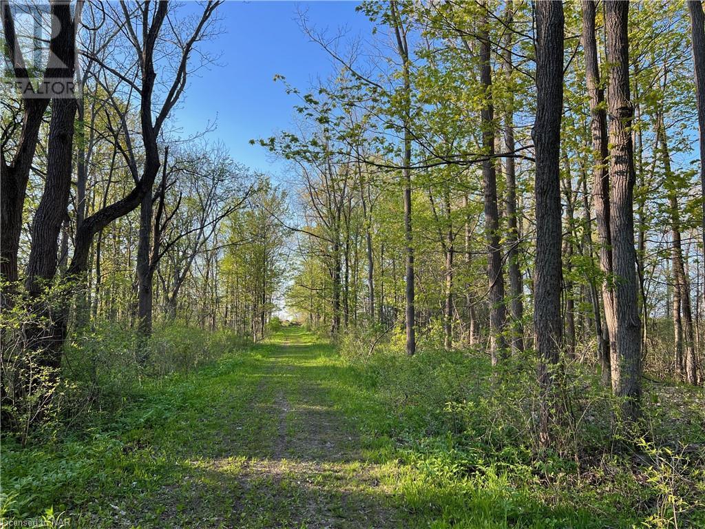 849 Ridge Road, Welland, Ontario  L3B 5N7 - Photo 14 - 40399138