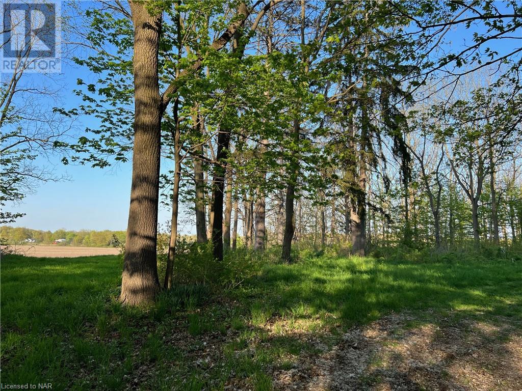 849 Ridge Road, Welland, Ontario  L3B 5N7 - Photo 16 - 40399138