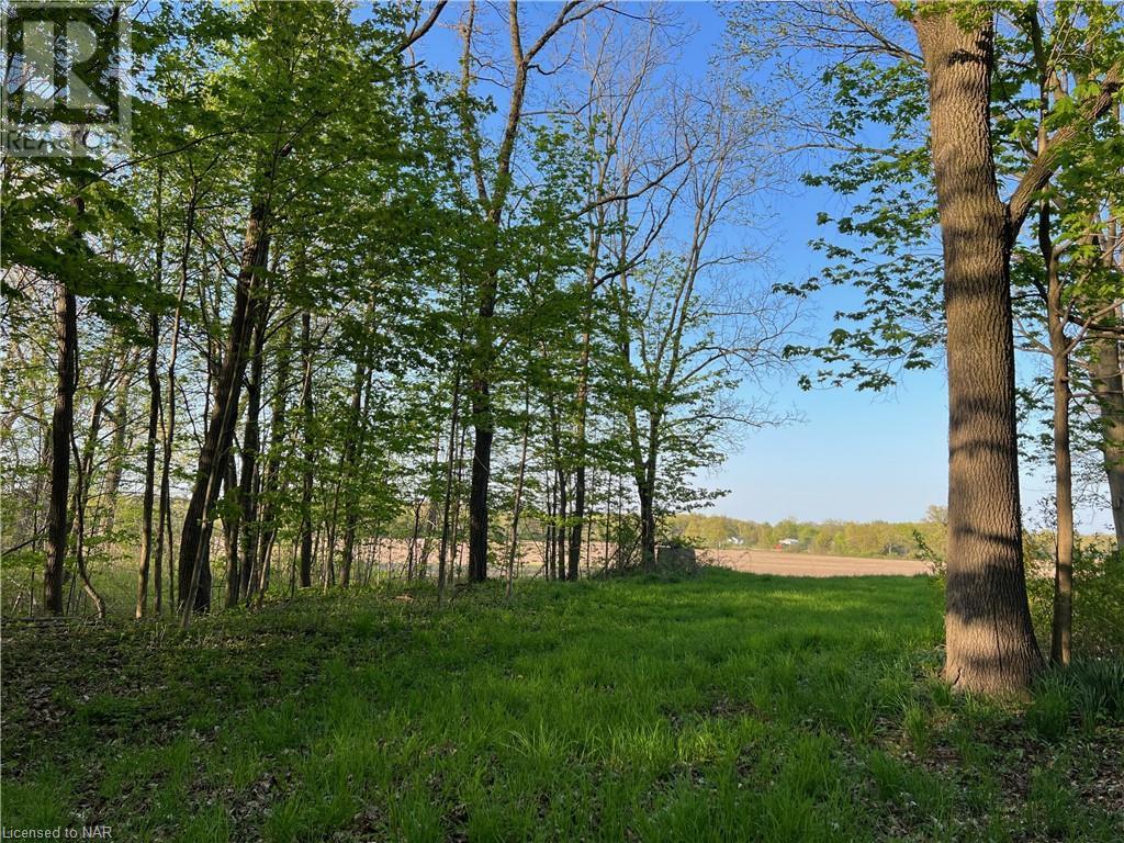 849 Ridge Road, Welland, Ontario  L3B 5N7 - Photo 17 - 40399138
