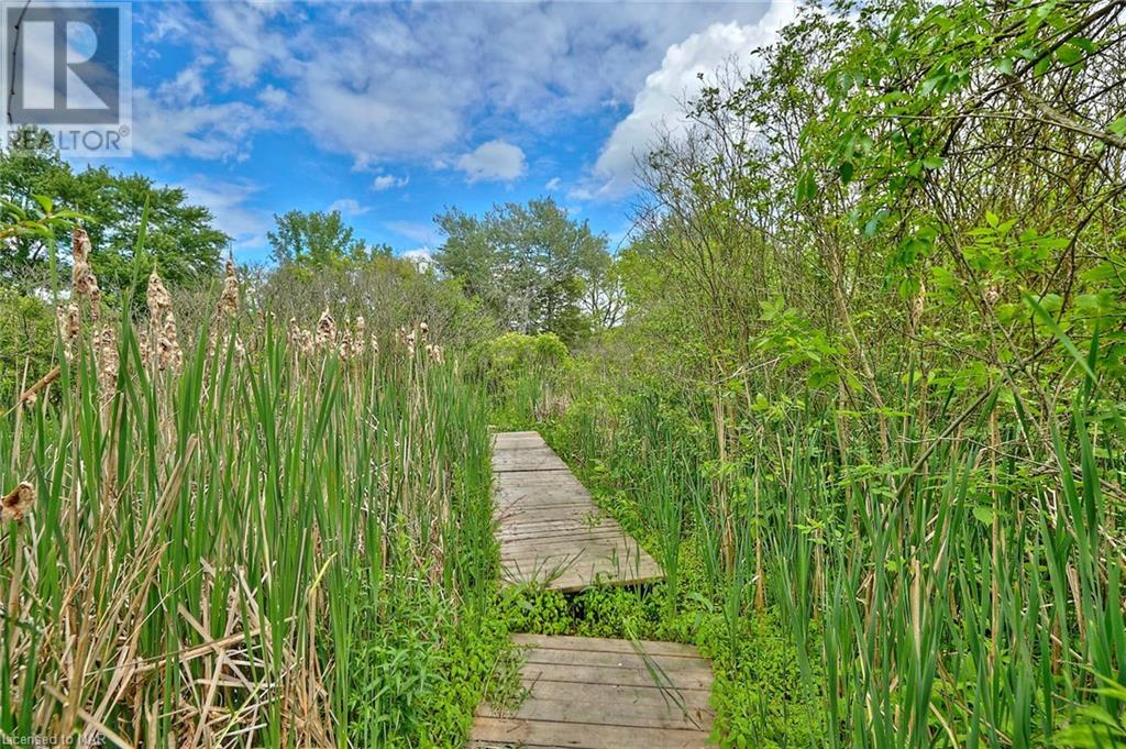 Vl River Trail, Fort Erie, Ontario  L0S 1S0 - Photo 13 - 40439993