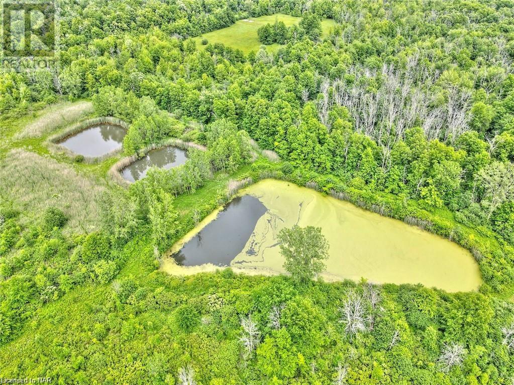 2233 Eagle Street, Stevensville, Ontario  L0S 1S0 - Photo 3 - 40448799