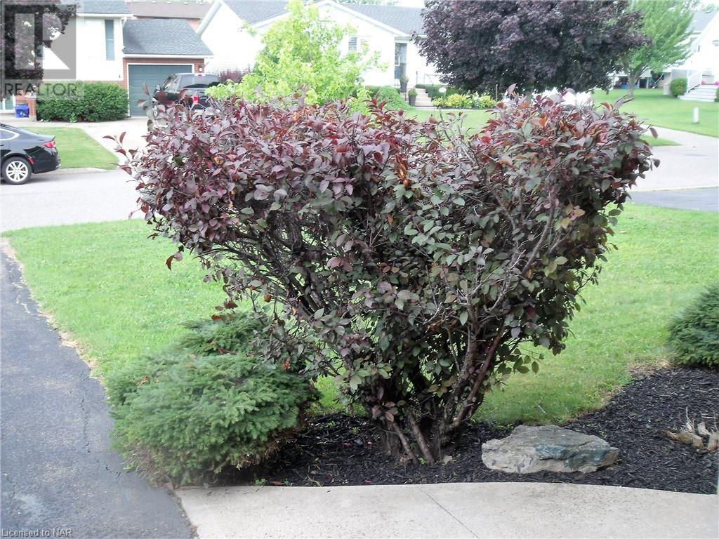 976 Colette Road, Fort Erie, Ontario  L2A 6G9 - Photo 31 - 40461538