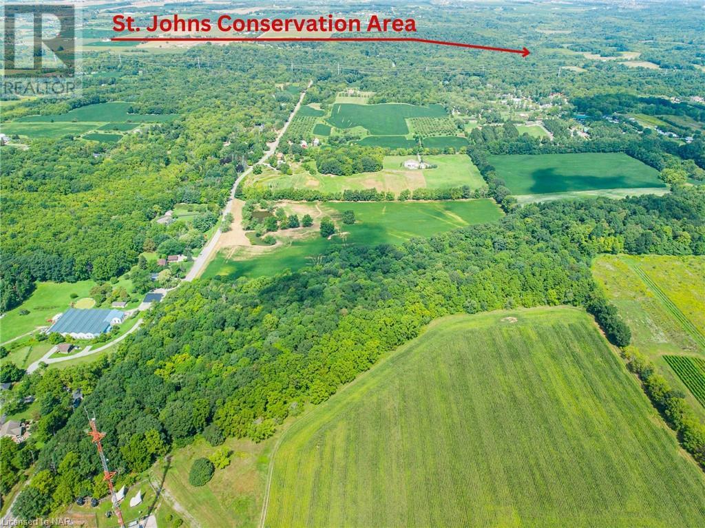 N/a Effingham St. Street, Ridgeville, Ontario  L0S 1M0 - Photo 4 - 40471616