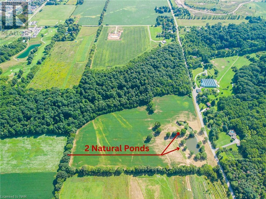 N/a Effingham St. Street, Ridgeville, Ontario  L0S 1M0 - Photo 6 - 40471616