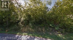 37 Bradley Street, St. Catharines, Ontario  L2T 1R5 - Photo 12 - 40483406