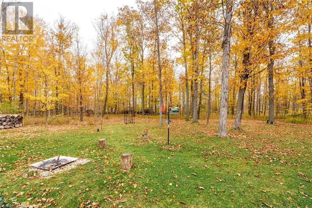 4929 Oriole Lane, Ridgeway, Ontario  L0S 1N0 - Photo 26 - 40505402