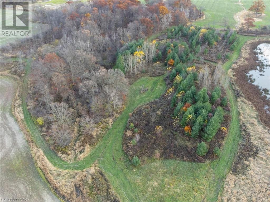 4872 Regional Road 20, West Lincoln, Ontario  L0R 1Y0 - Photo 12 - 40513750
