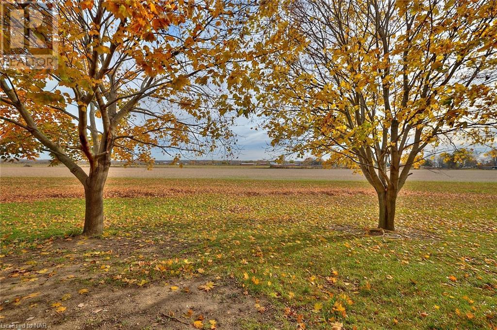 12017 Station Road, Wainfleet, Ontario  L0S 1V0 - Photo 33 - 40470811