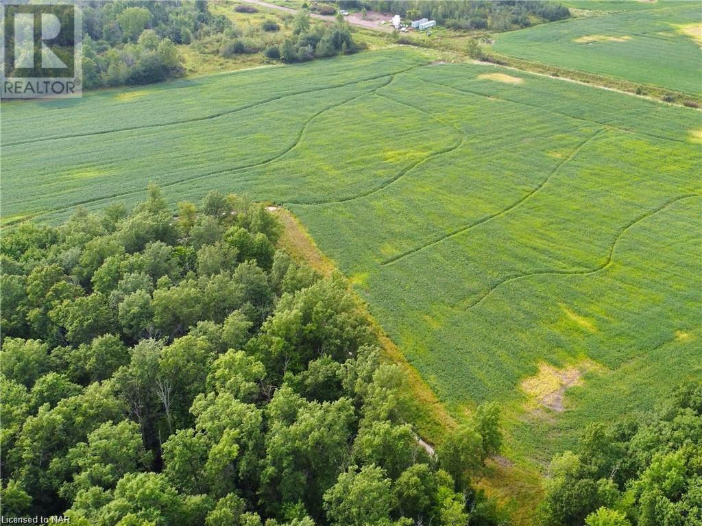 N/a Zavitz Road, Port Colborne, Ontario  L0S 1N0 - Photo 10 - 40518554