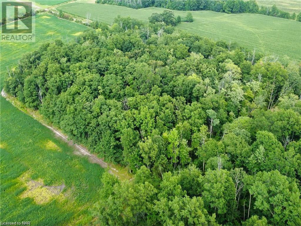 N/a Zavitz Road, Port Colborne, Ontario  L0S 1N0 - Photo 12 - 40518554